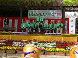 緑と花のフェスティバル２０１６