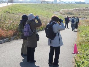 平成２８年度第２回野鳥観察会