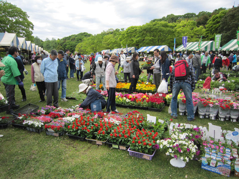 緑 と 花 の フェスティバル