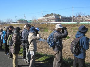 平成３０年度第４回野鳥観察会