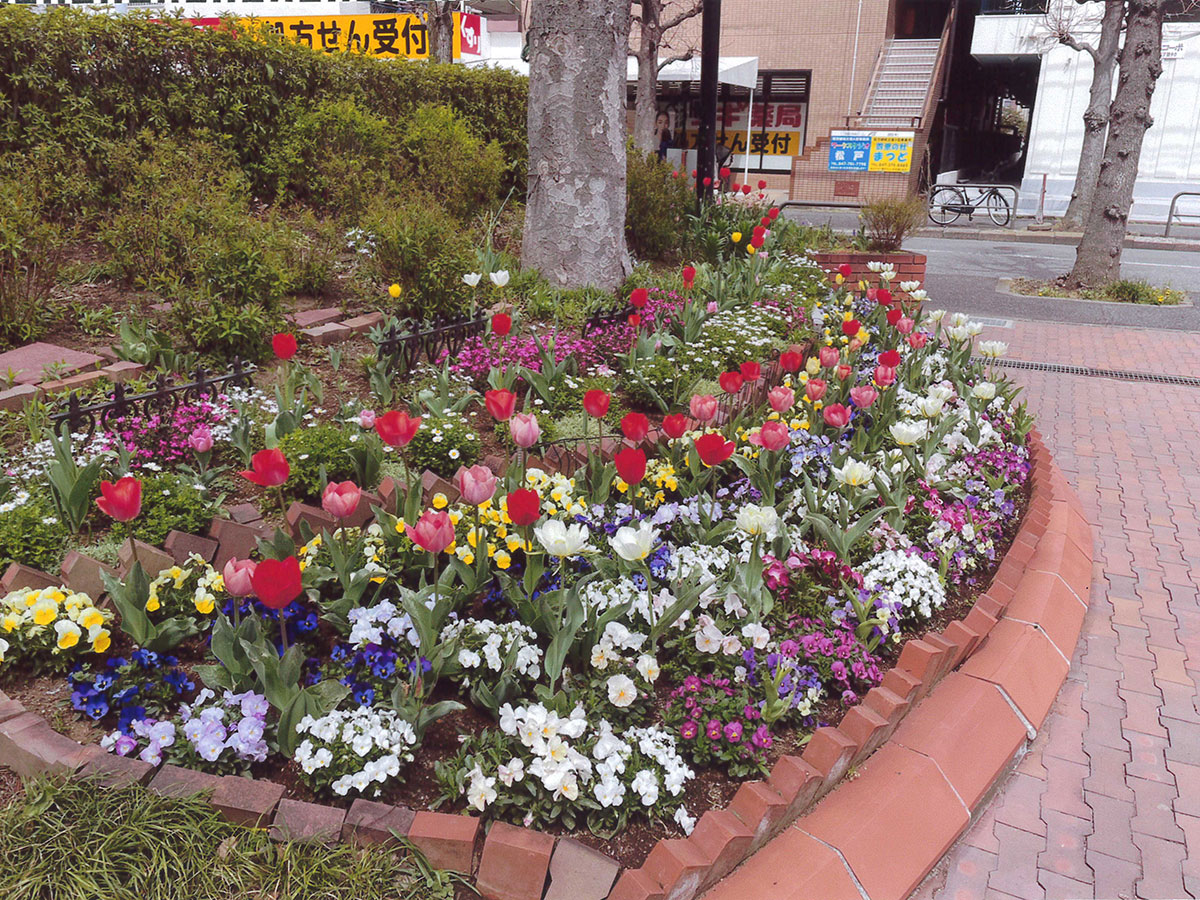 サンライトパストラル壱番街管理組合