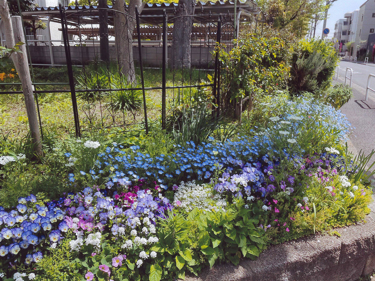 サンライトパストラル壱番街管理組合