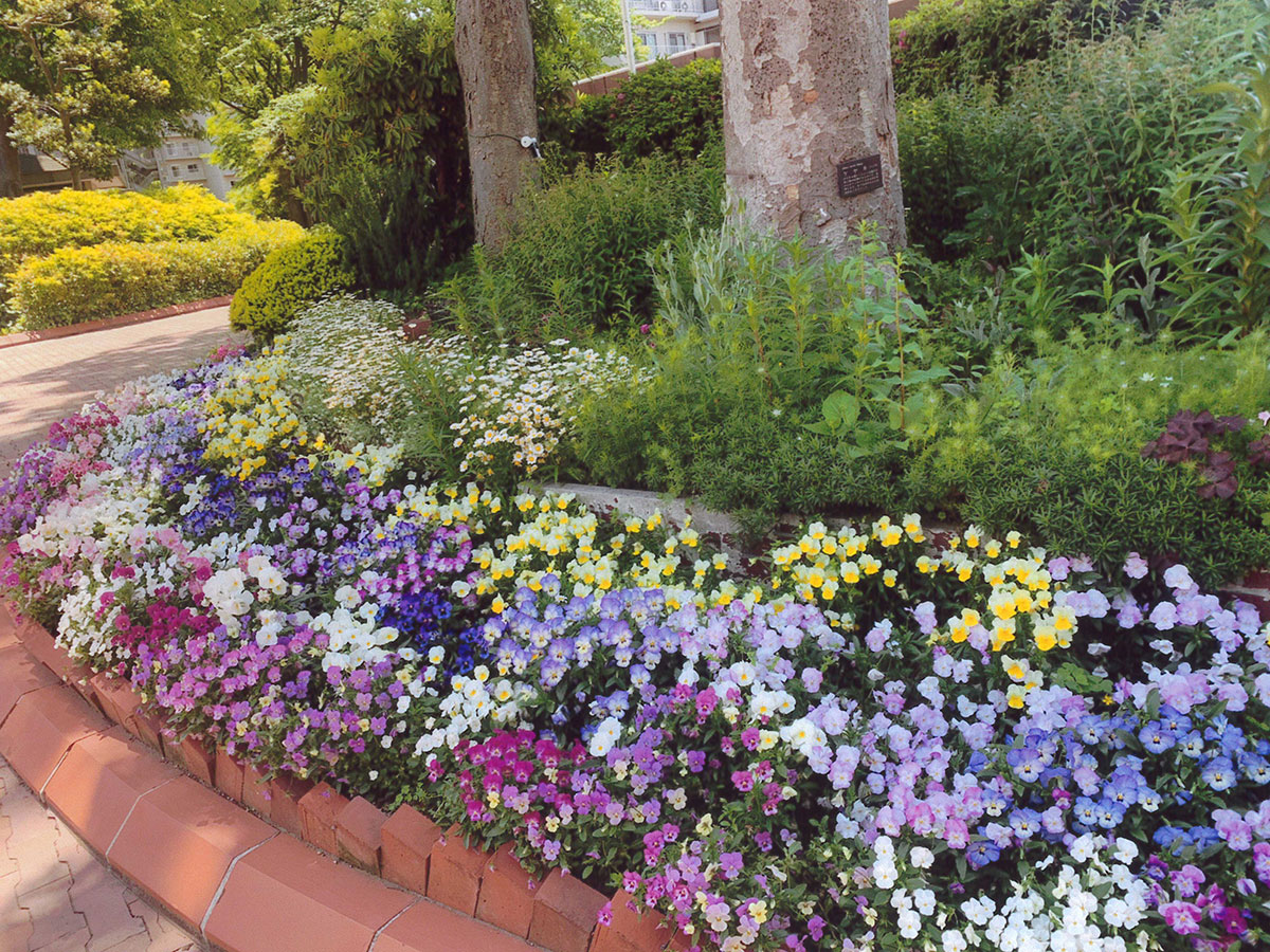 サンライトパストラル壱番街管理組合