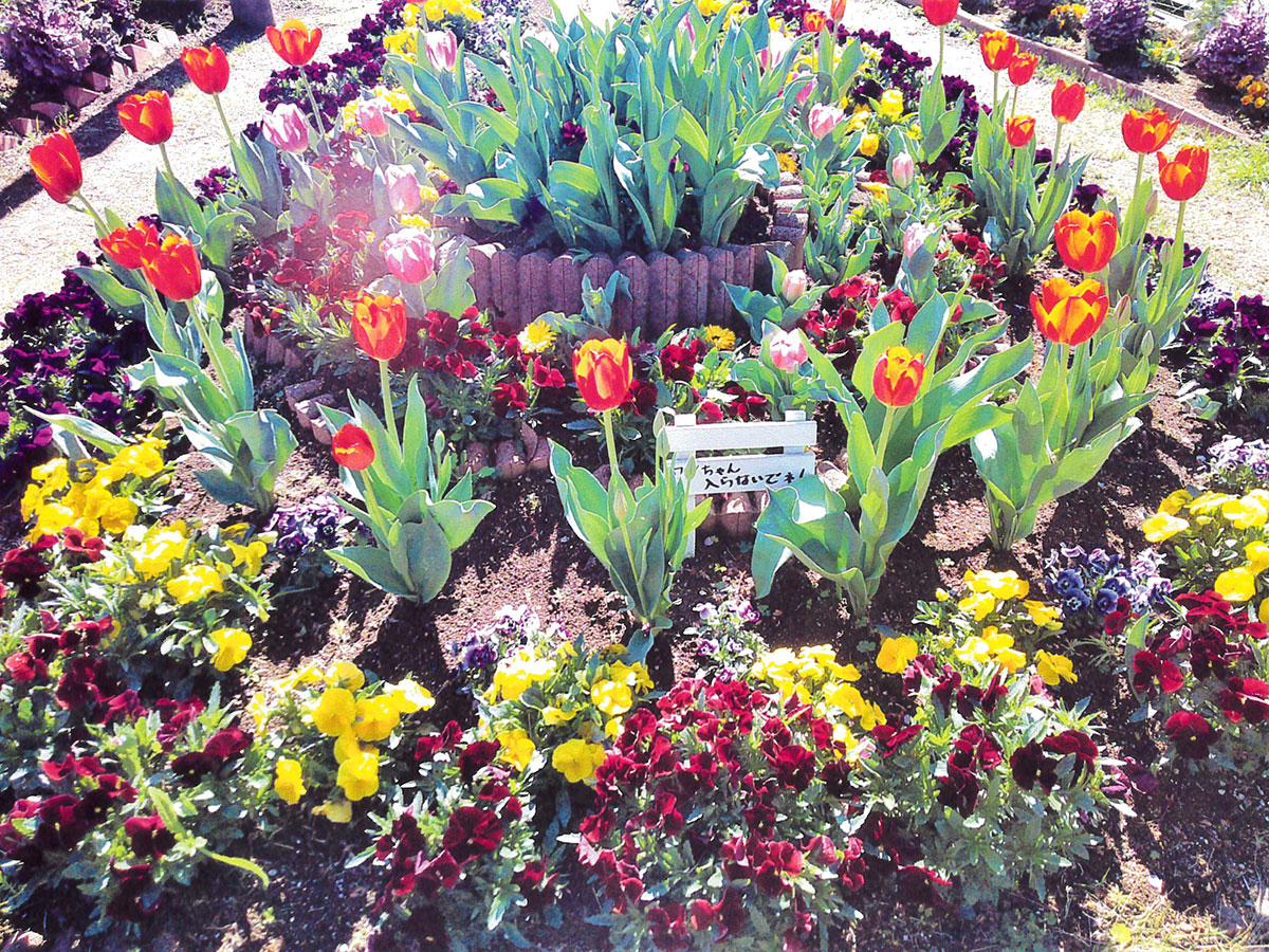 河南環境美化の会