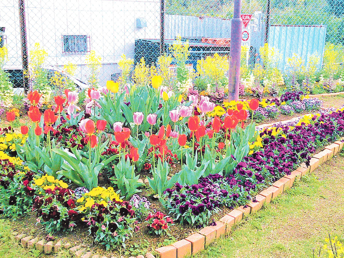 河南環境美化の会