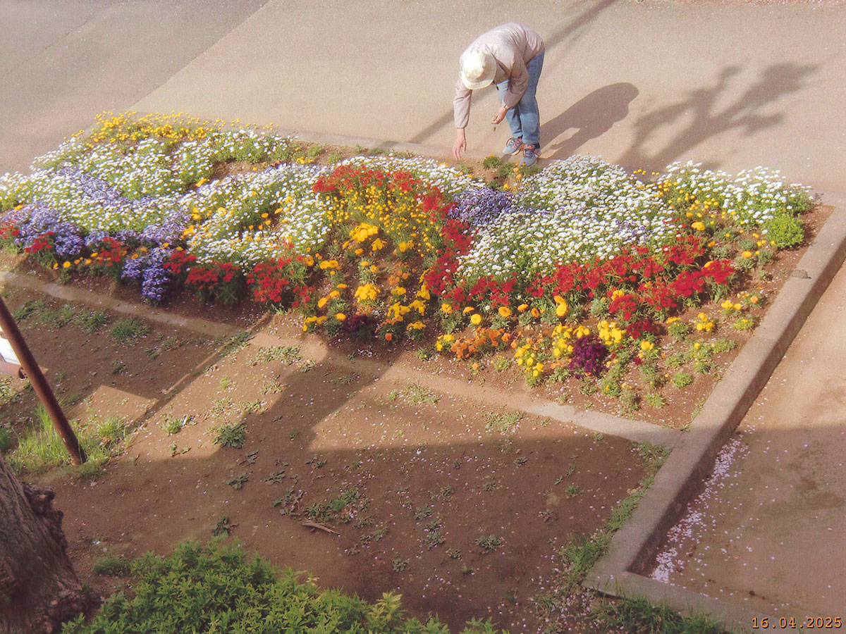西馬橋環境を守る会