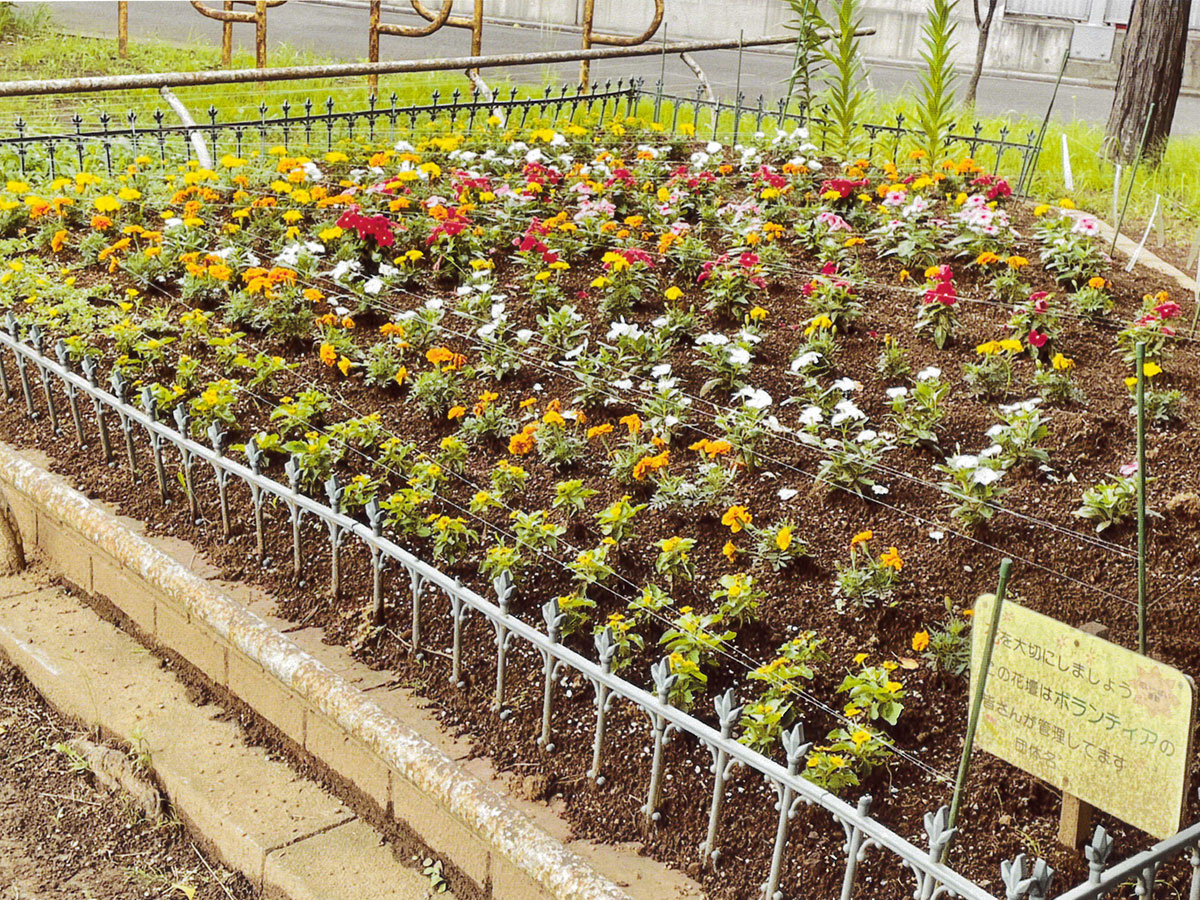 西町町会花の会