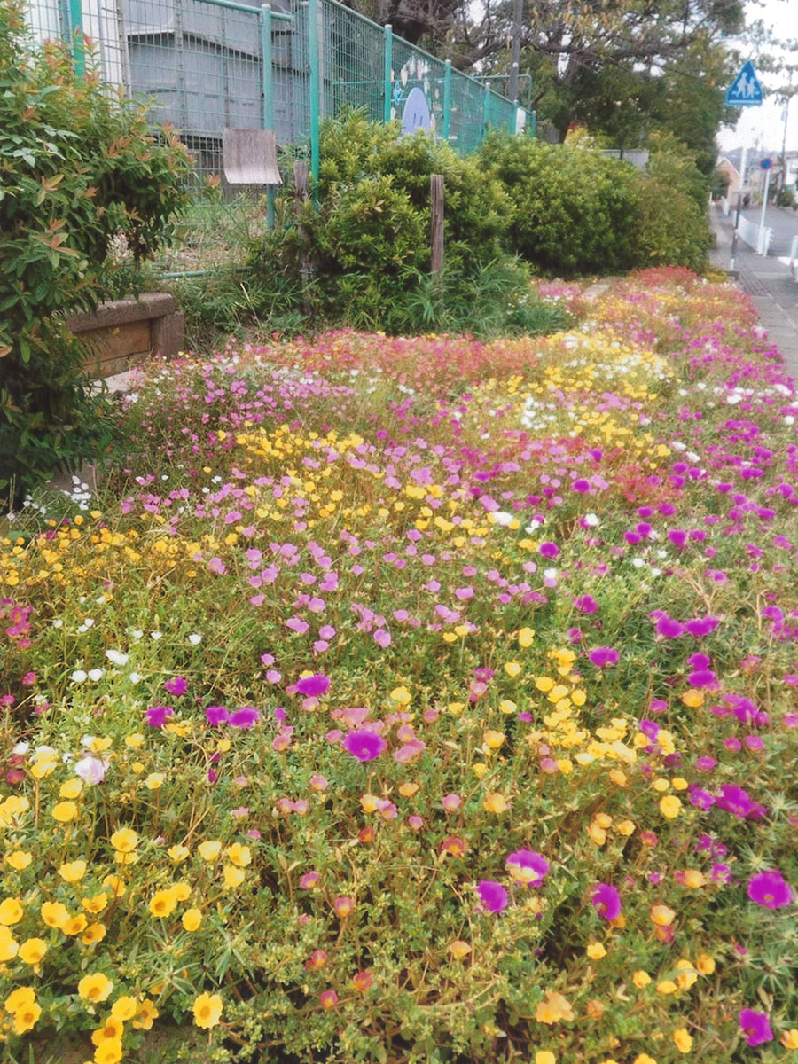 河原塚放課後児童クラブ学童園芸部