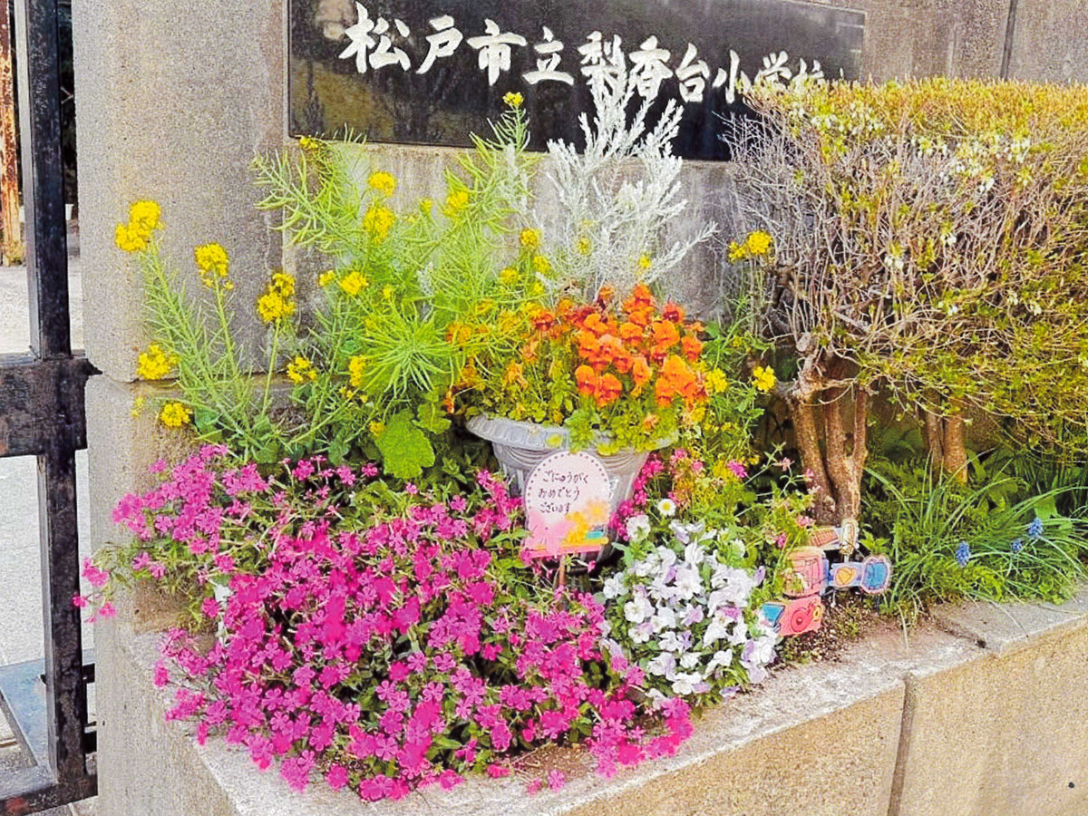 松戸市立梨香台小学校PTA花壇整備係