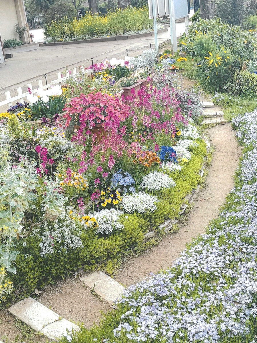 松戸市立六実小学校