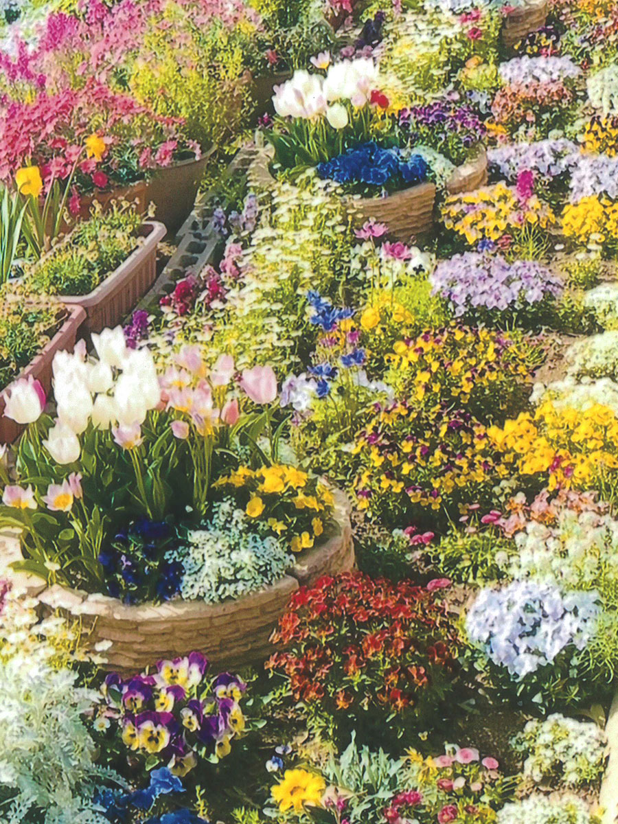 松戸市立六実小学校