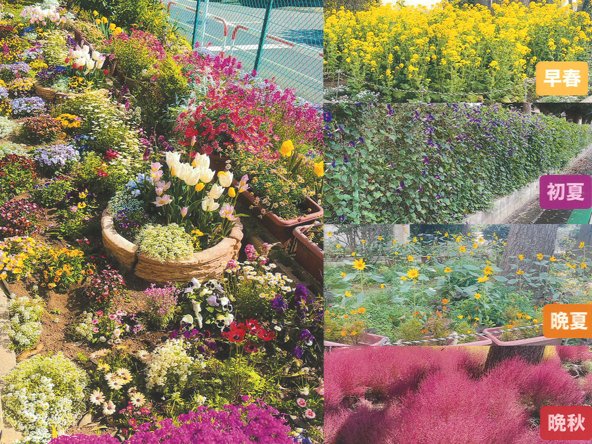 松戸市立六実小学校