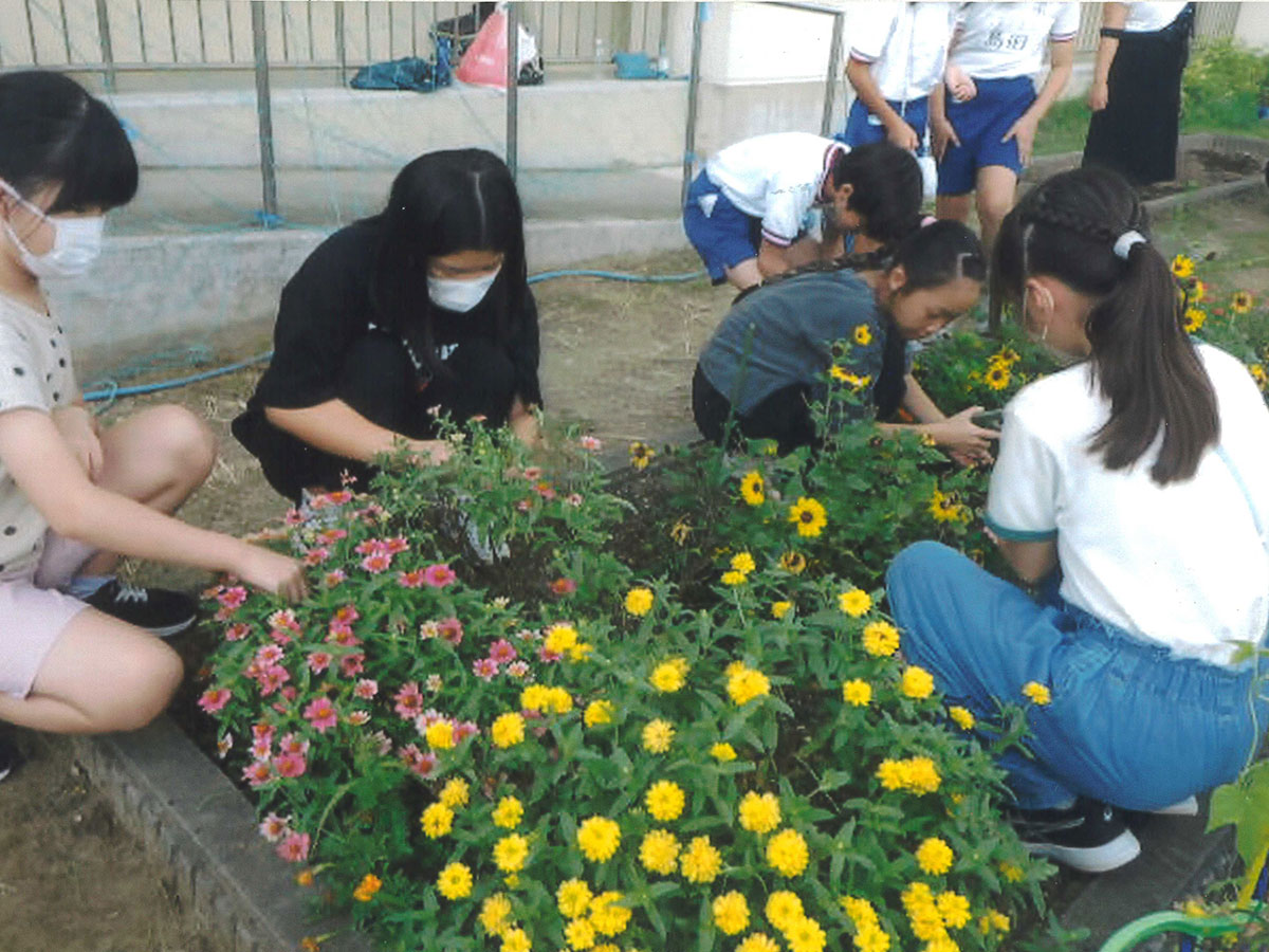 松戸市立旭町小学校
