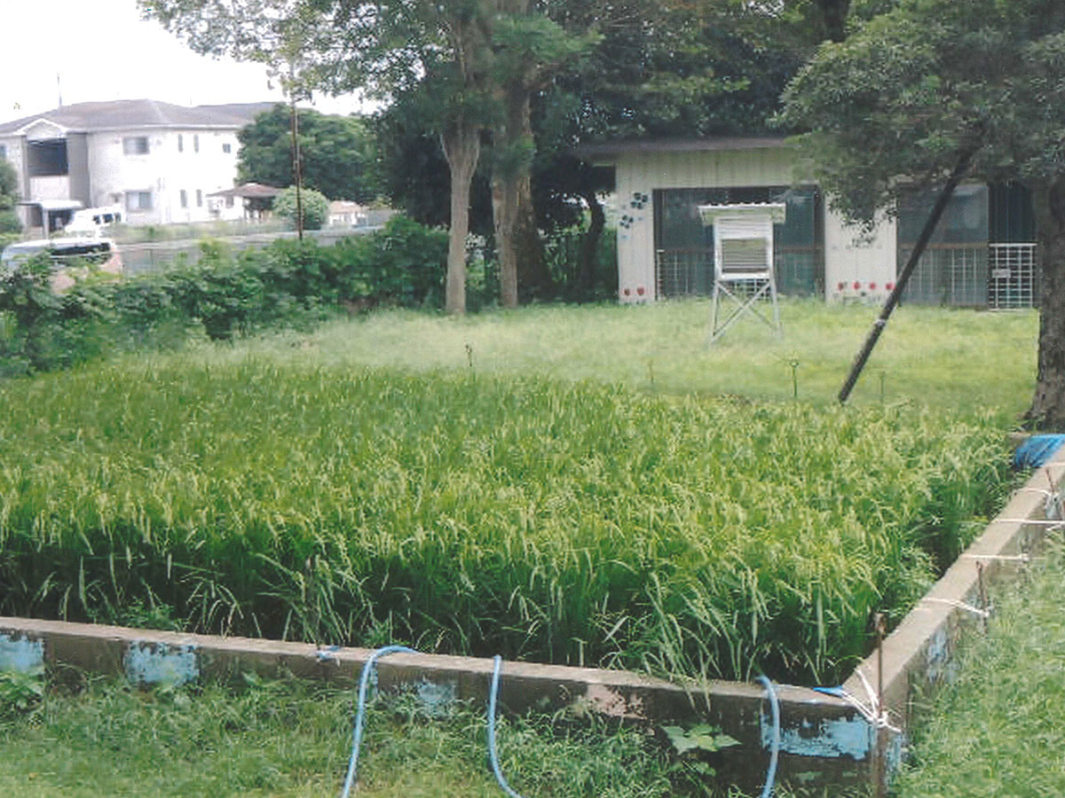 松戸市立旭町小学校