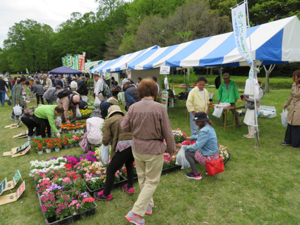 緑と花のフェスティバル２０２２